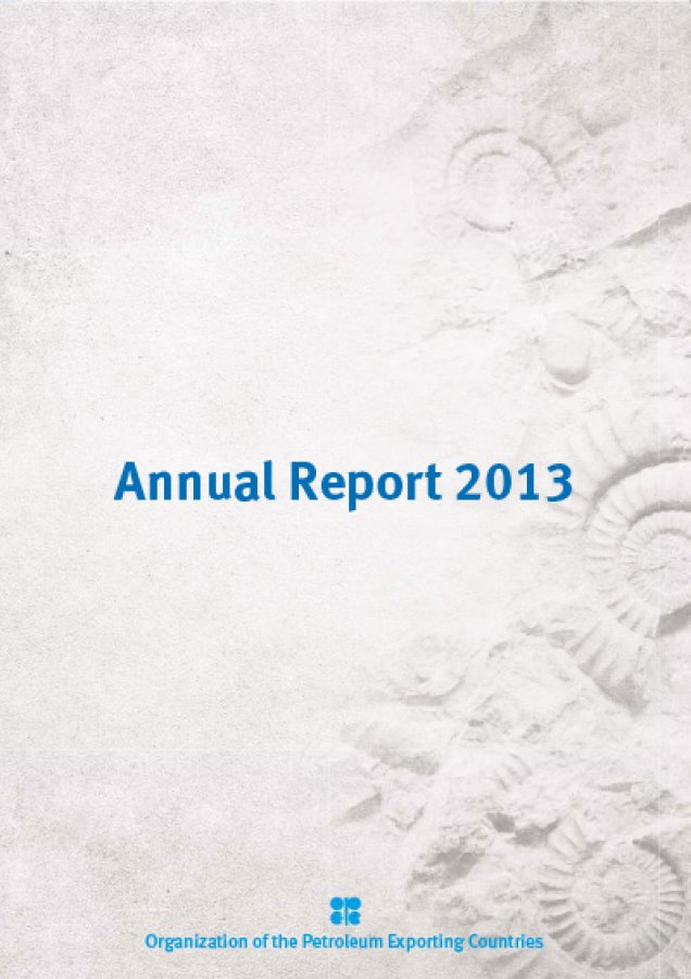 Annual Report 2013