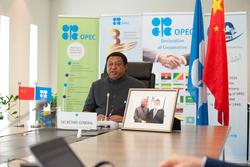 HE Mohammad Sanusi Barkindo, OPEC Secretary General